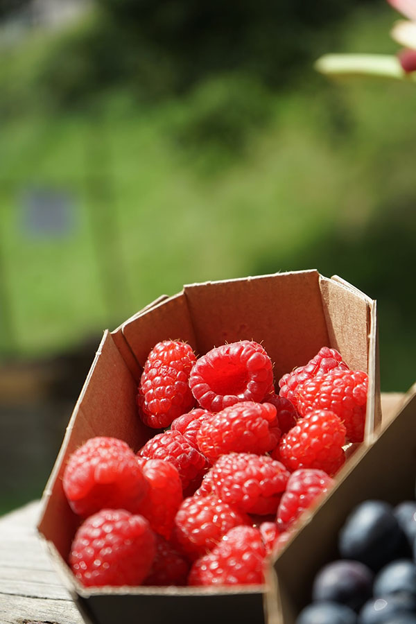 De fruits de saisons à Otsokop